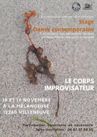 stage danse nov 23 web-min.jpg